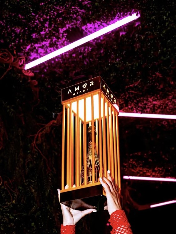 Party at Amor Wynwood VIP nightclub in Miami. Find promoters for guest list in Clubbable