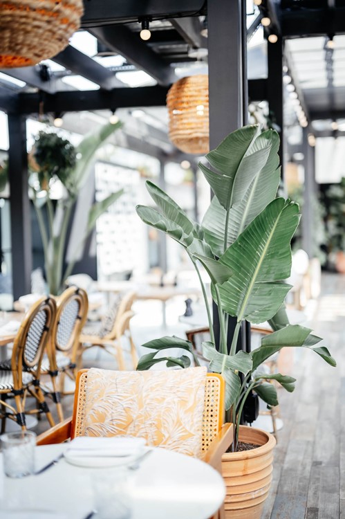 Party at Blue Marlin Ibiza VIP nightclub in London. Find promoters for guest list in Clubbable