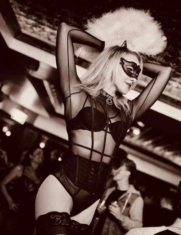 Cathouse nightclub Los Angeles sexy blonde cat costume girl dancer waitress luxury club