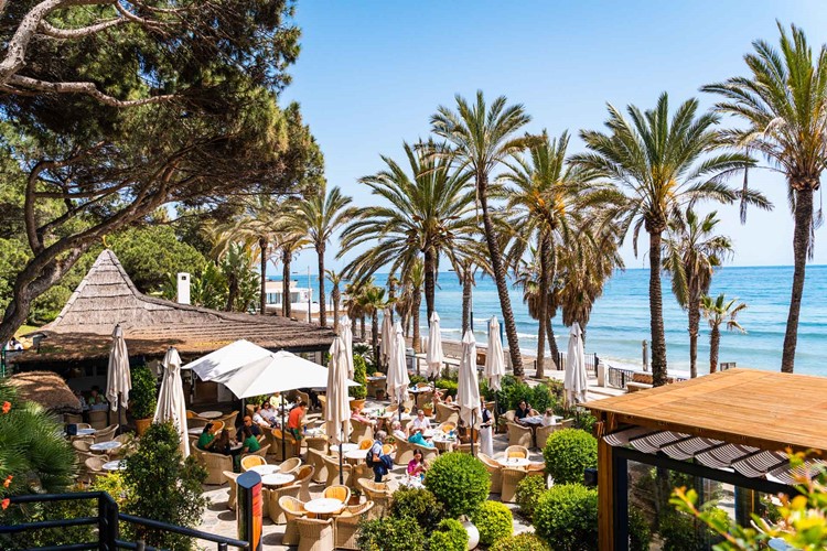 Classics Brunch nightclub Marbella