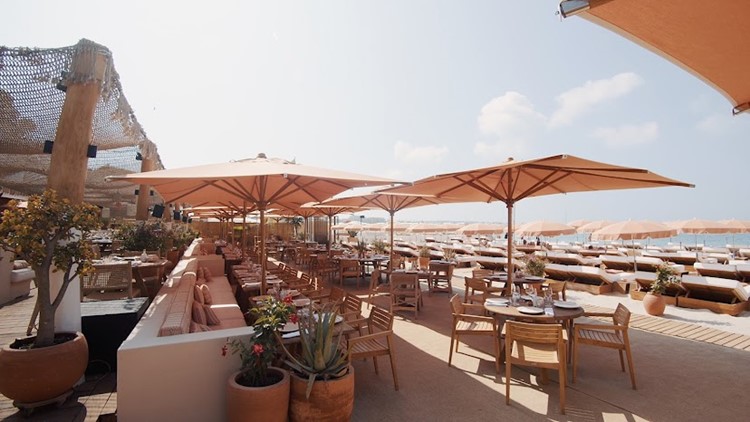 Copal in Cannes 28 oct. 2025