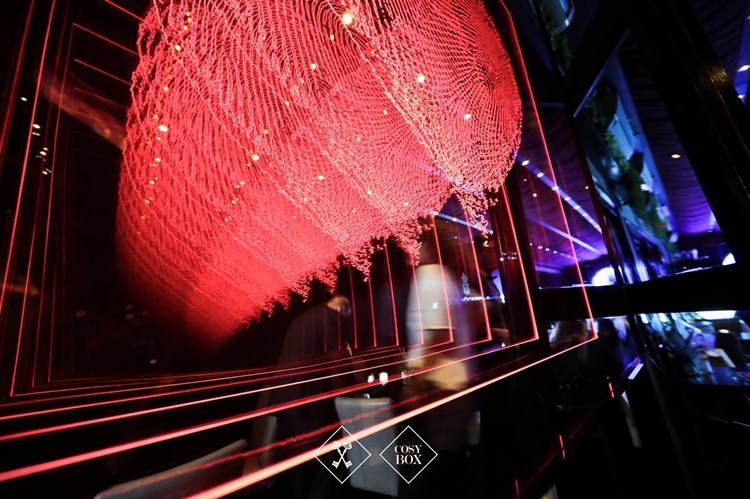 Party at Cosy Box VIP nightclub in Cannes. Find promoters for guest list in Clubbable