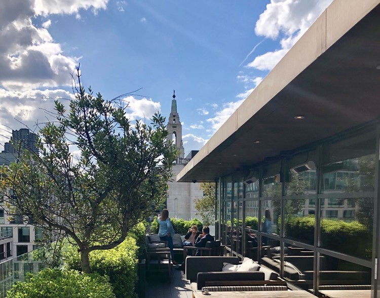 Terrace at Eight members club