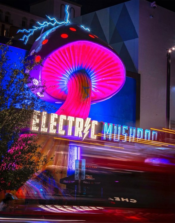Electric Mushroom नाइट क्लब Las Vegas
