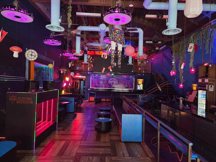 Electric Mushroom main floor with bar, hanging mushroom decor and pink neon accents