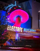 Electric Mushroom