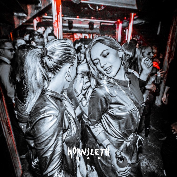Hornsleth nightclub Copenhagen girls dancing crowd live dj music party mix 