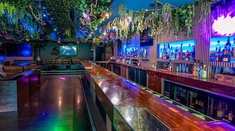 Soirée dans la boîte Jungle Hollywood VIP à Los Angeles. Trouvez des promoteurs pour la liste des invités sur Clubbable
