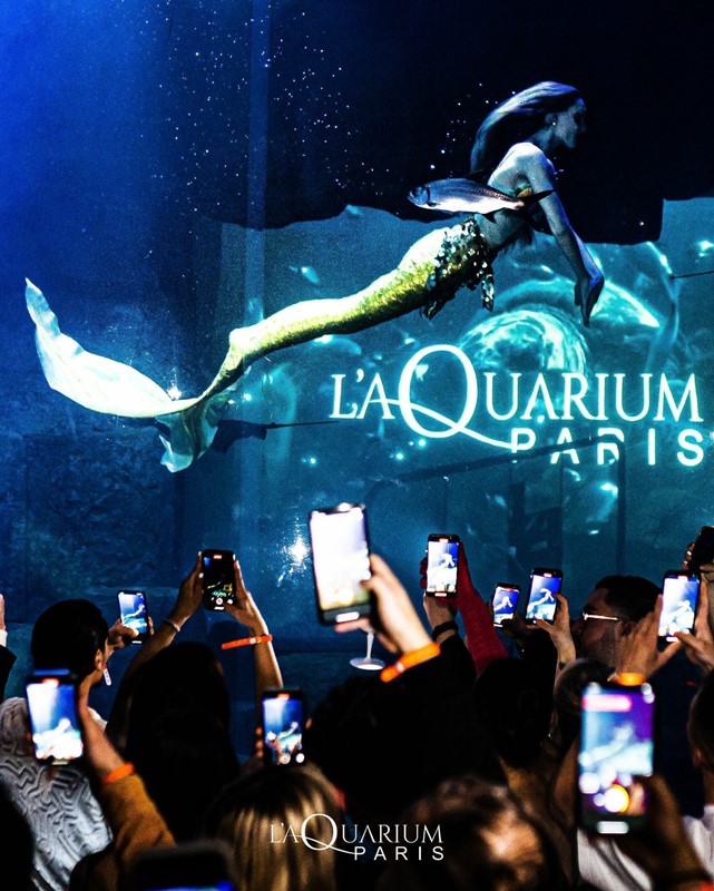 L'Aquarium nightclub in Paris live mermaid real marine show club unique performance entertainment