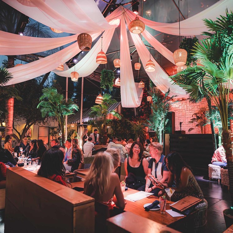 La Mesa club Los Angeles cosy venue dinner nightclub go out partying clubbing