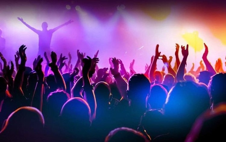 Le Panic Room nightclub Paris crowd having fun dancing at concert party