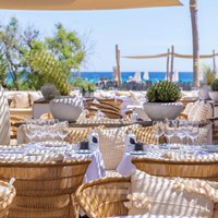 Les Palmiers