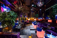 Money nightclub Belgrade
