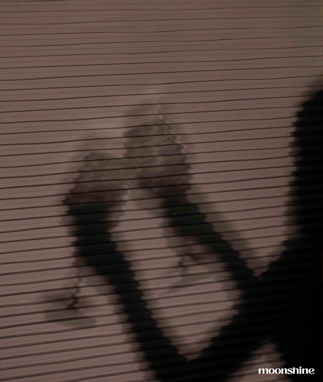 Soirée dans la boîte Moonshine VIP à Dubai. Trouvez des promoteurs pour la liste des invités sur Clubbable