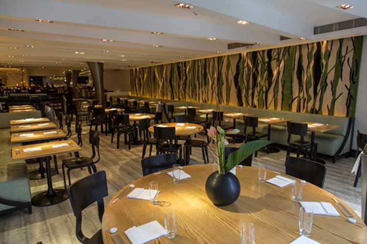 Nobu Mayfair restaurant clubstaurant dinner expensive posh luxury guestlist book table fancy