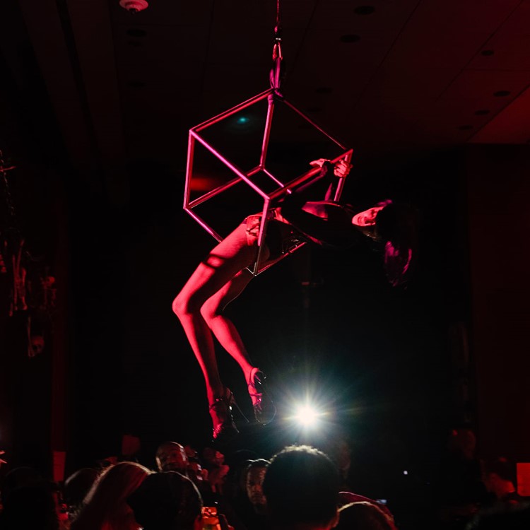 Paradise club NYC show exotic dancer acrobat lingerie lady