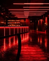 Pretty Paris nightclub Paris