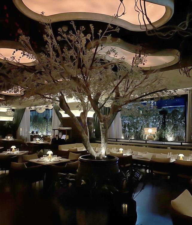 Romeo Lane in Dubai 28 oct. 2025