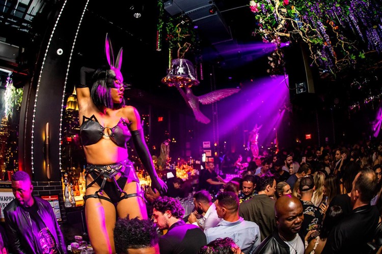 Somewhere Nowhere nightclub NYC dancer sexy lingerie outfit exotic clubbing