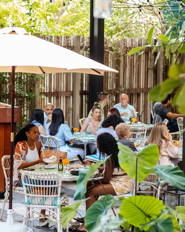 Swan in Miami club party day nightclub