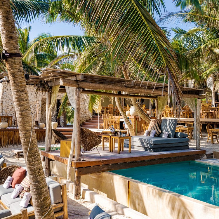 Taboo beach club in Tulum outdoor venue terrace palm trees tropical