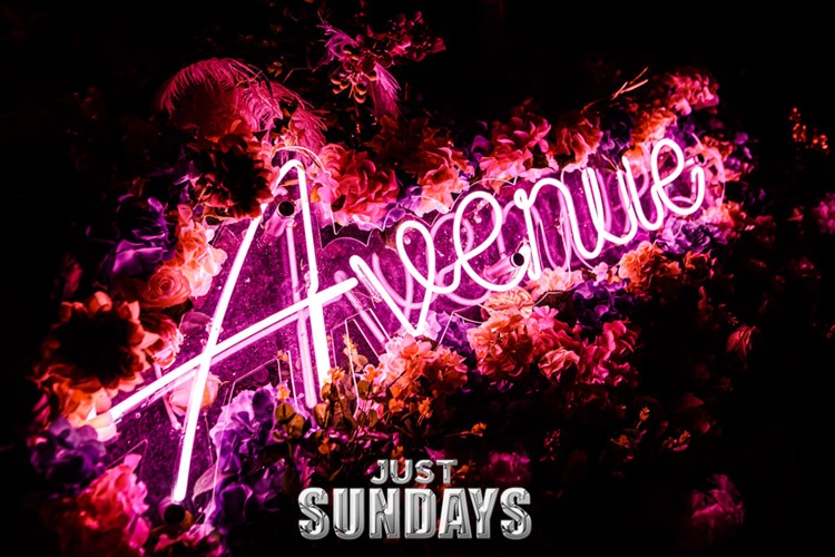 The Avenue in Dubai 28 oct. 2025