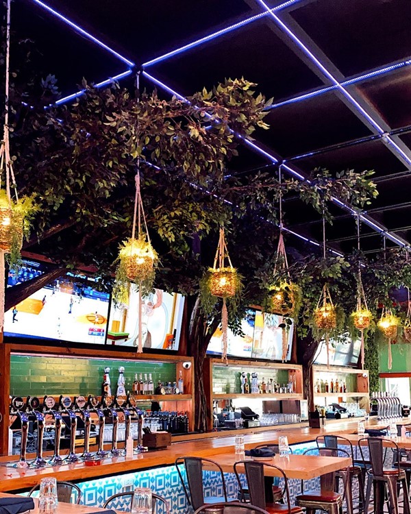 Tree House in Chicago 28 oct. 2025