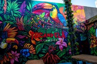 TuCandela Wynwood
