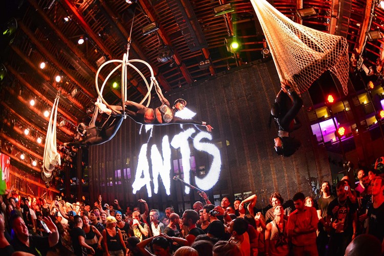 Ushuaia nightclub Ibiza ANTS 