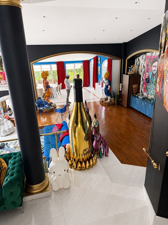 Private Villa Party Club/Discoteca Cannes